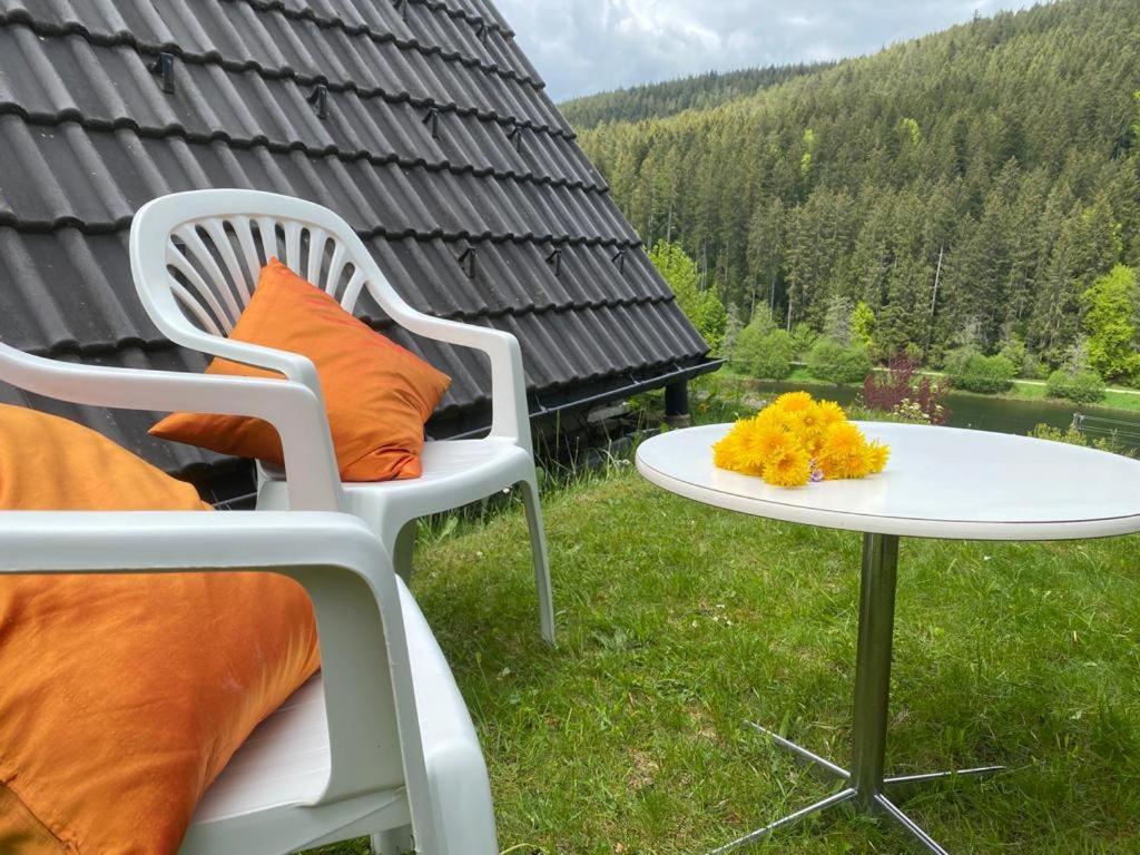 Haus Adler - Komplettes Ferienhaus am Badesee Erzgrube Exterior foto